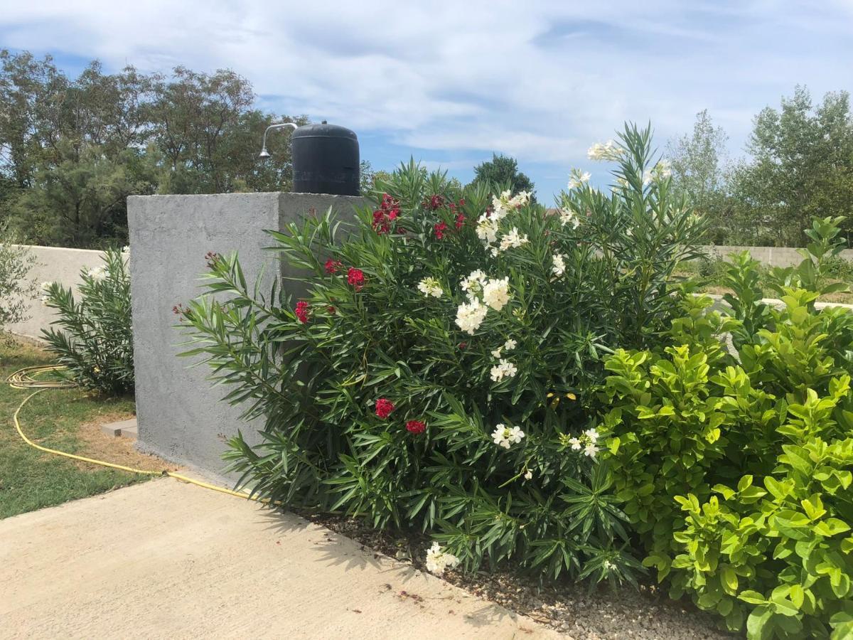 Holiday Home Visnja نين المظهر الخارجي الصورة